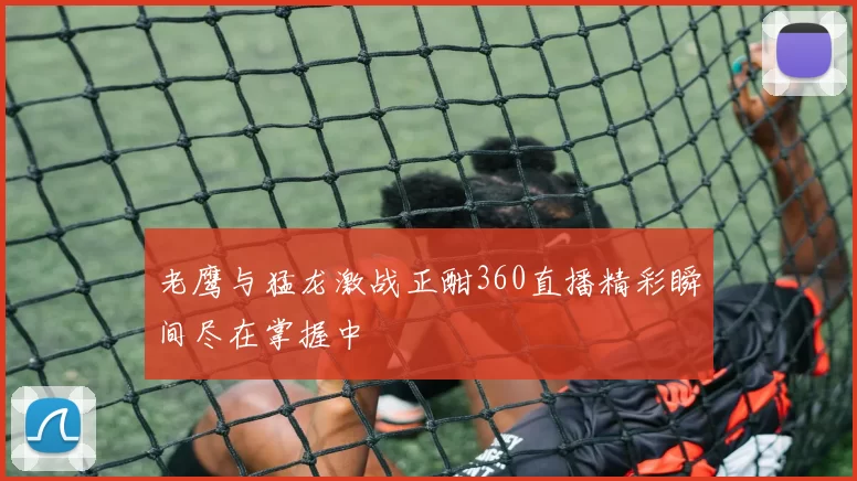 老鹰与猛龙激战正酣360直播精彩瞬间尽在掌握中
