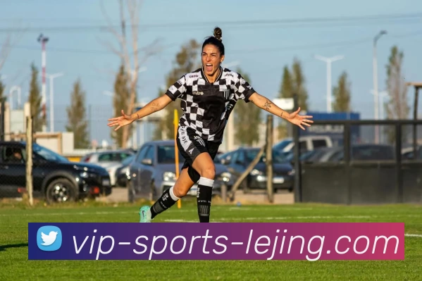 乐竞体育平台生态图